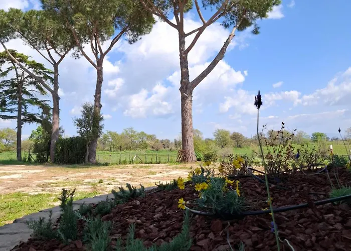 Podere Muracciolo